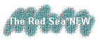 The Red Sea*NEW